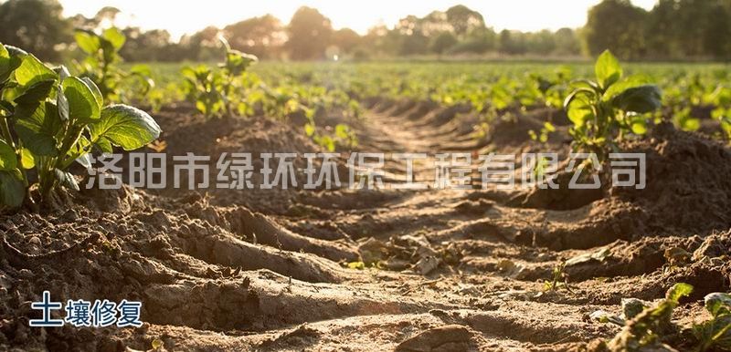 J9集团·(中国)首页